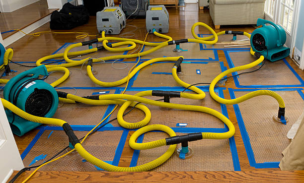 Professional Flood Damage Restoration technician working in Welches, OR